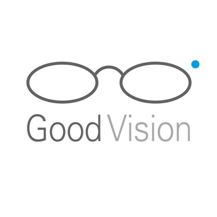 Goodvision Usa Inc Logo
