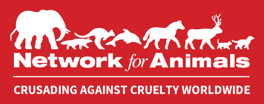 Network For Animals Usa Inc Logo