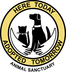 Here Today Adopted Tomorrow Animal Sanctuary Inc Logo