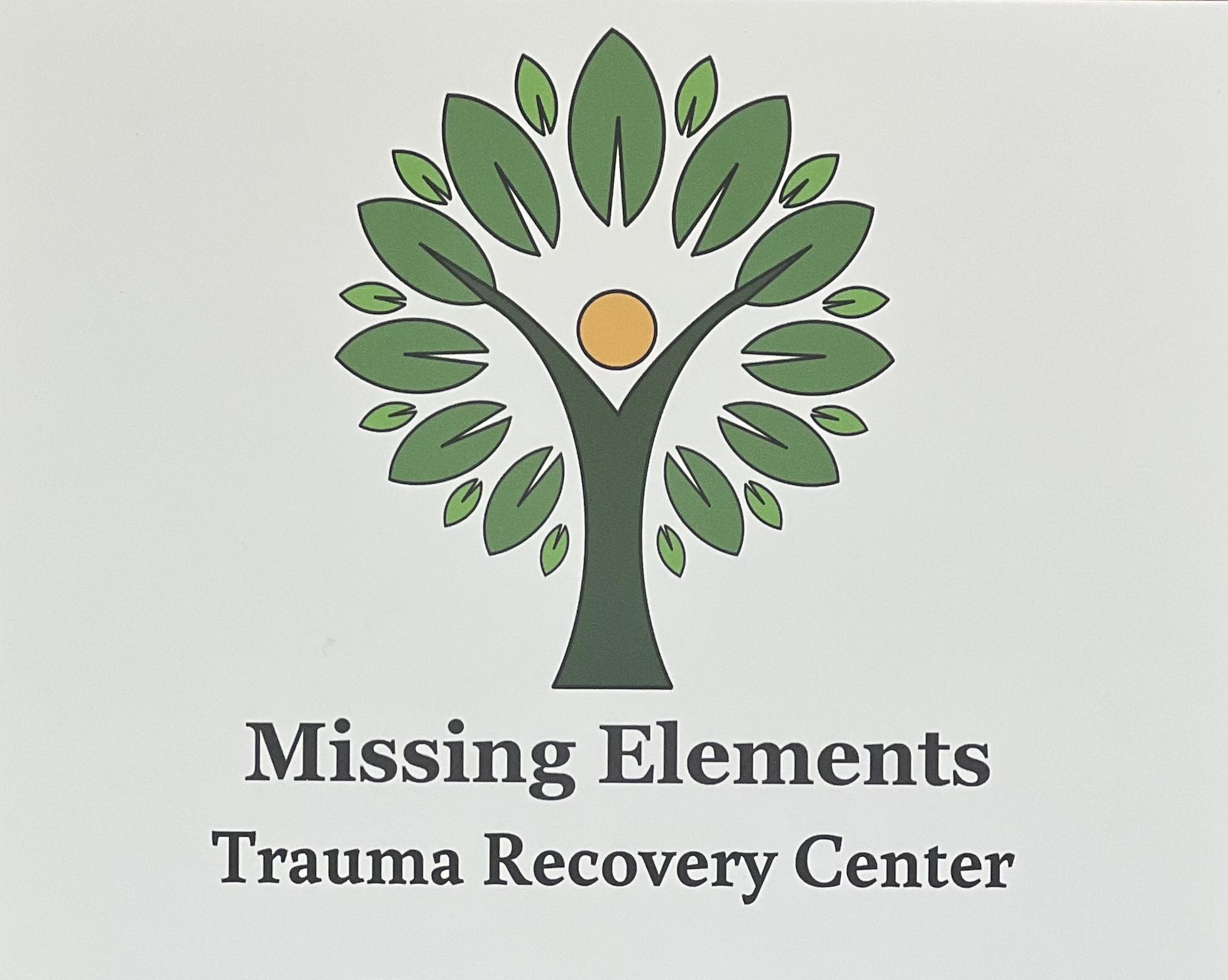 Missing Elements Logo