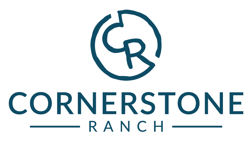 Cornerstone Ministries Inc Logo