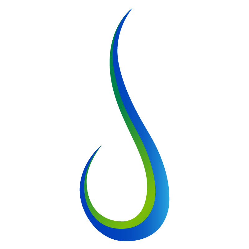 Shree Meera Foundation Logo