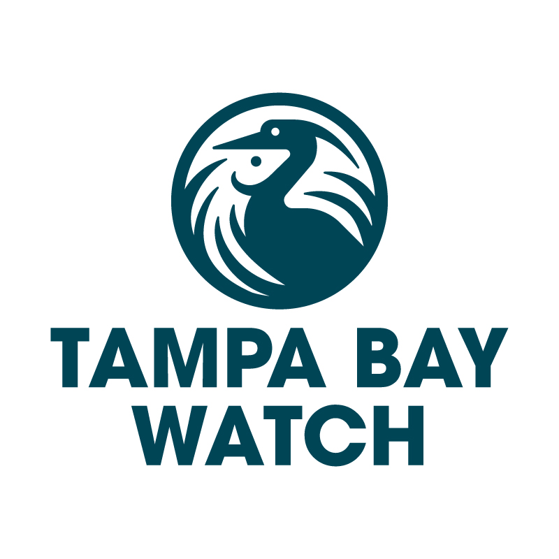 Tampa Baywatch Inc Logo