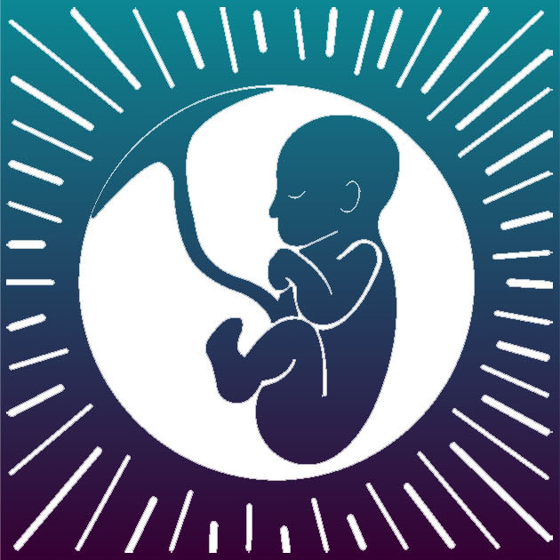 Breech Without Borders Inc Logo