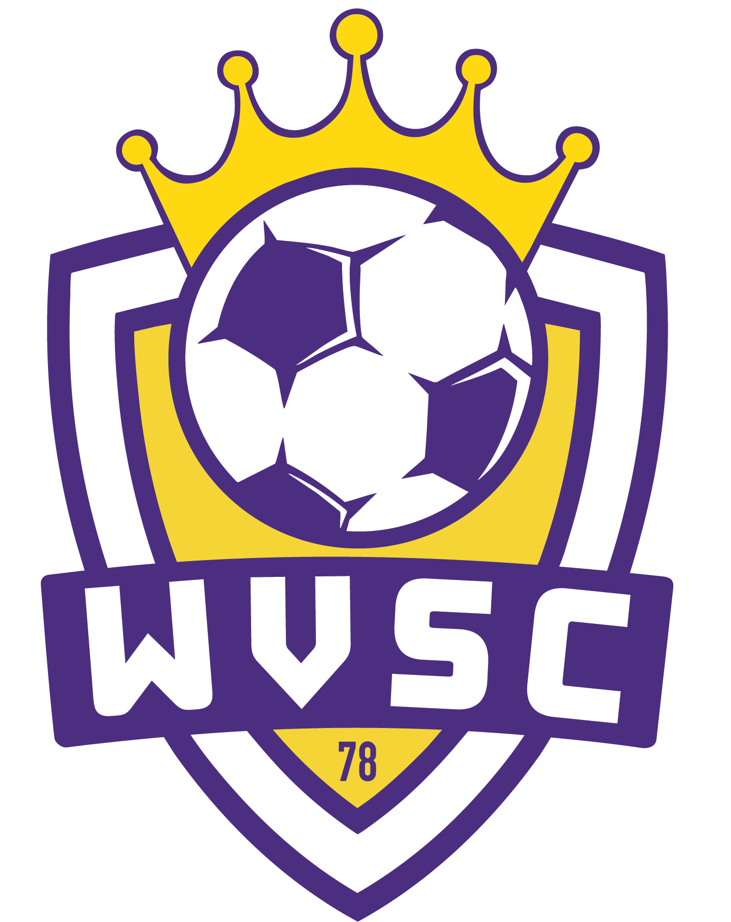 Vcysa Inc Logo