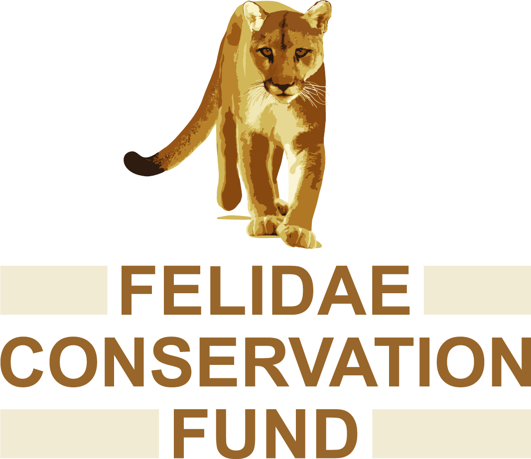 Felidae Conservation Fund Logo