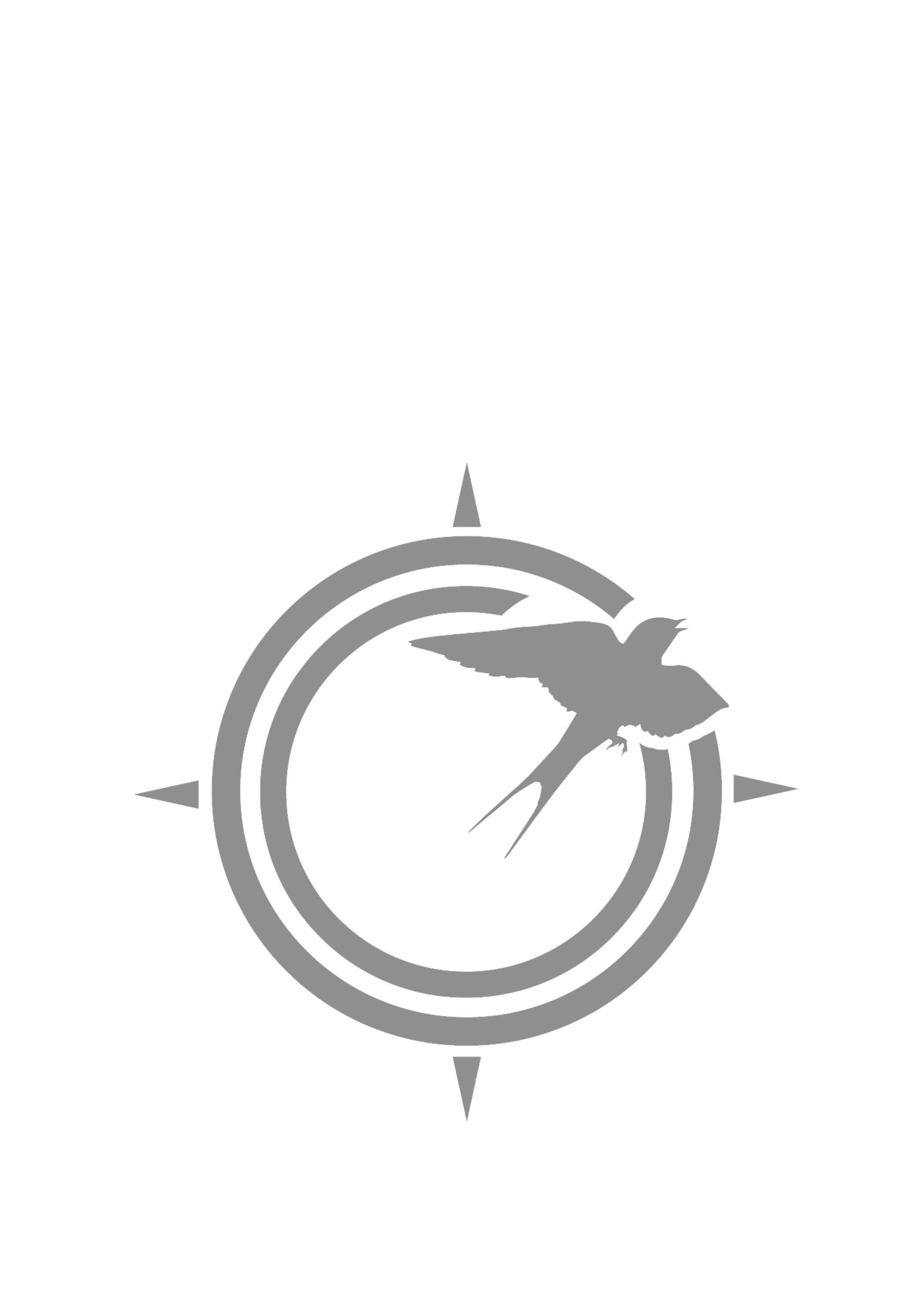 Compass 31 Logo