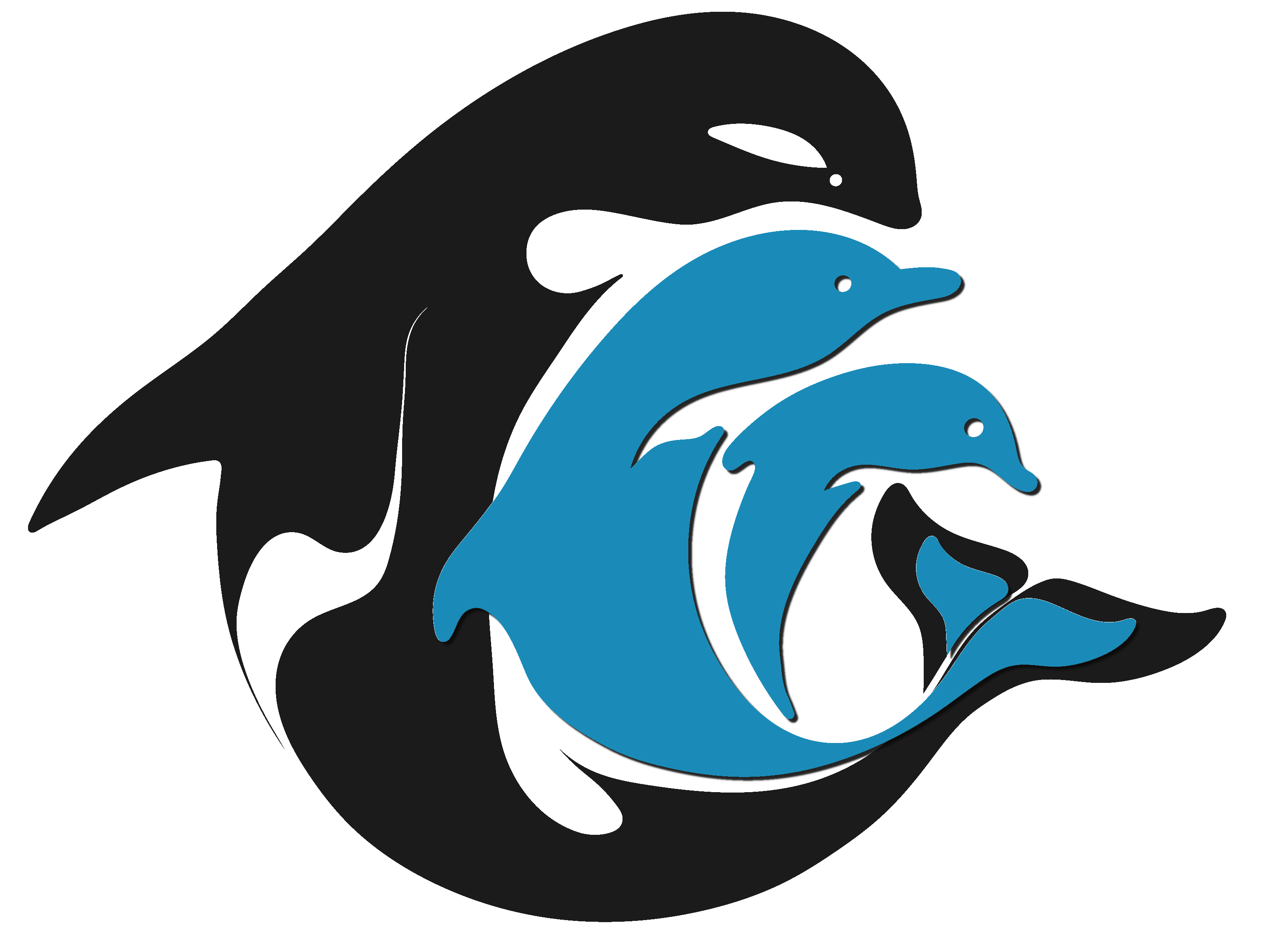 Dolphin Communication Project Inc Logo