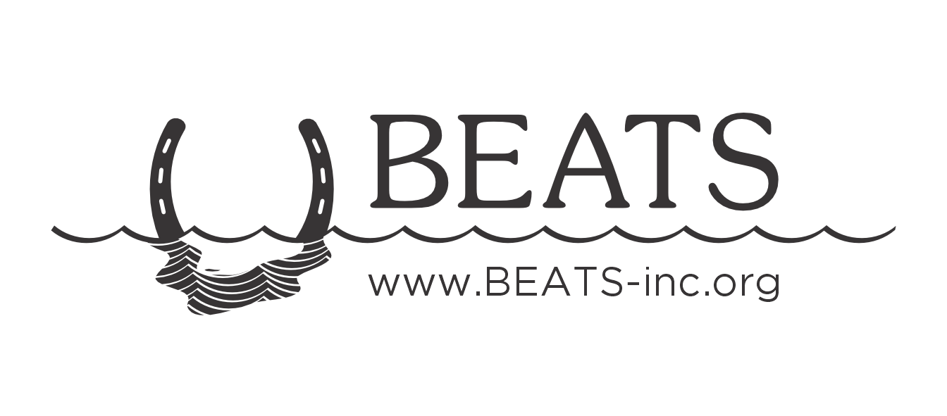 Bethanys Equine And Aquatic Therapy Services Inc Logo