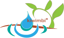 Kiwimbi International Logo