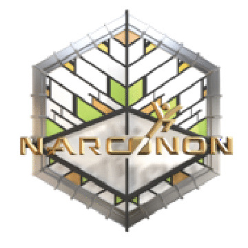 Narconon International Logo