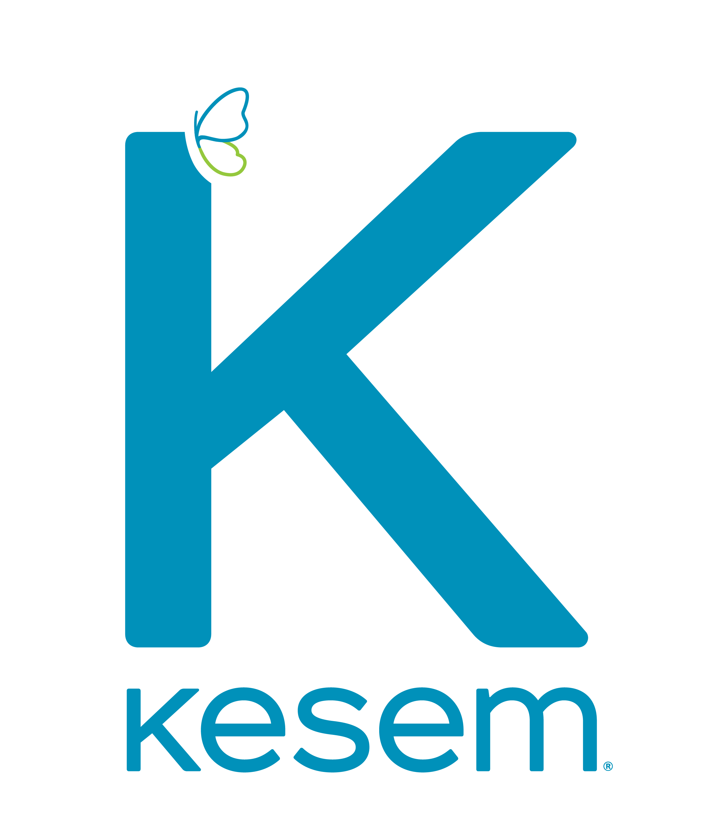 Camp Kesem National Logo