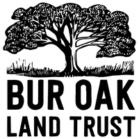 Bur Oak Land Trust Logo