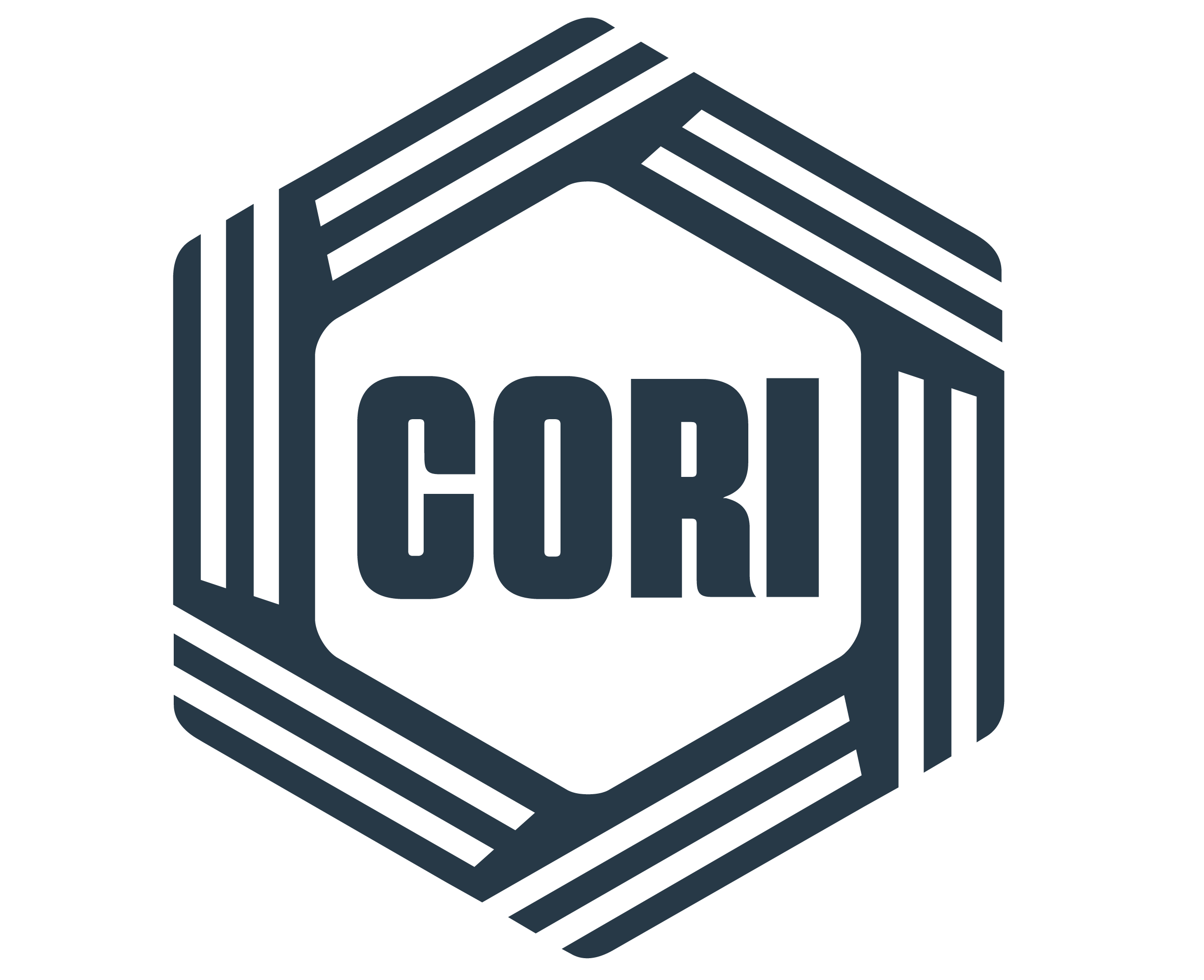 Center On Rural Innovation Inc Logo