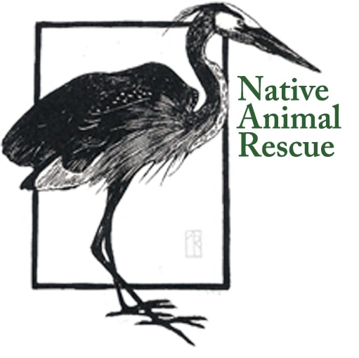Native Animal Rescue Logo