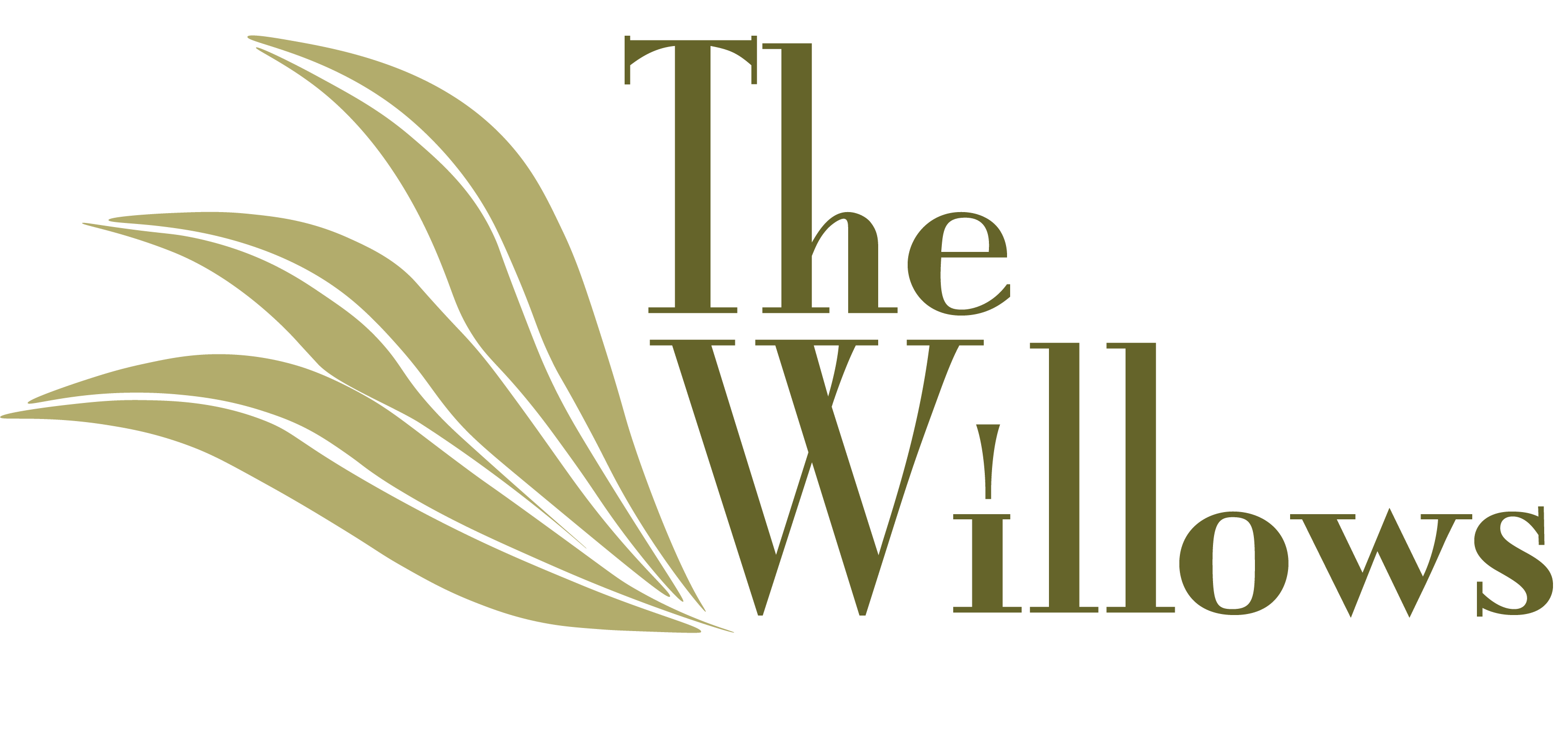 The Willows Foundation Inc Logo