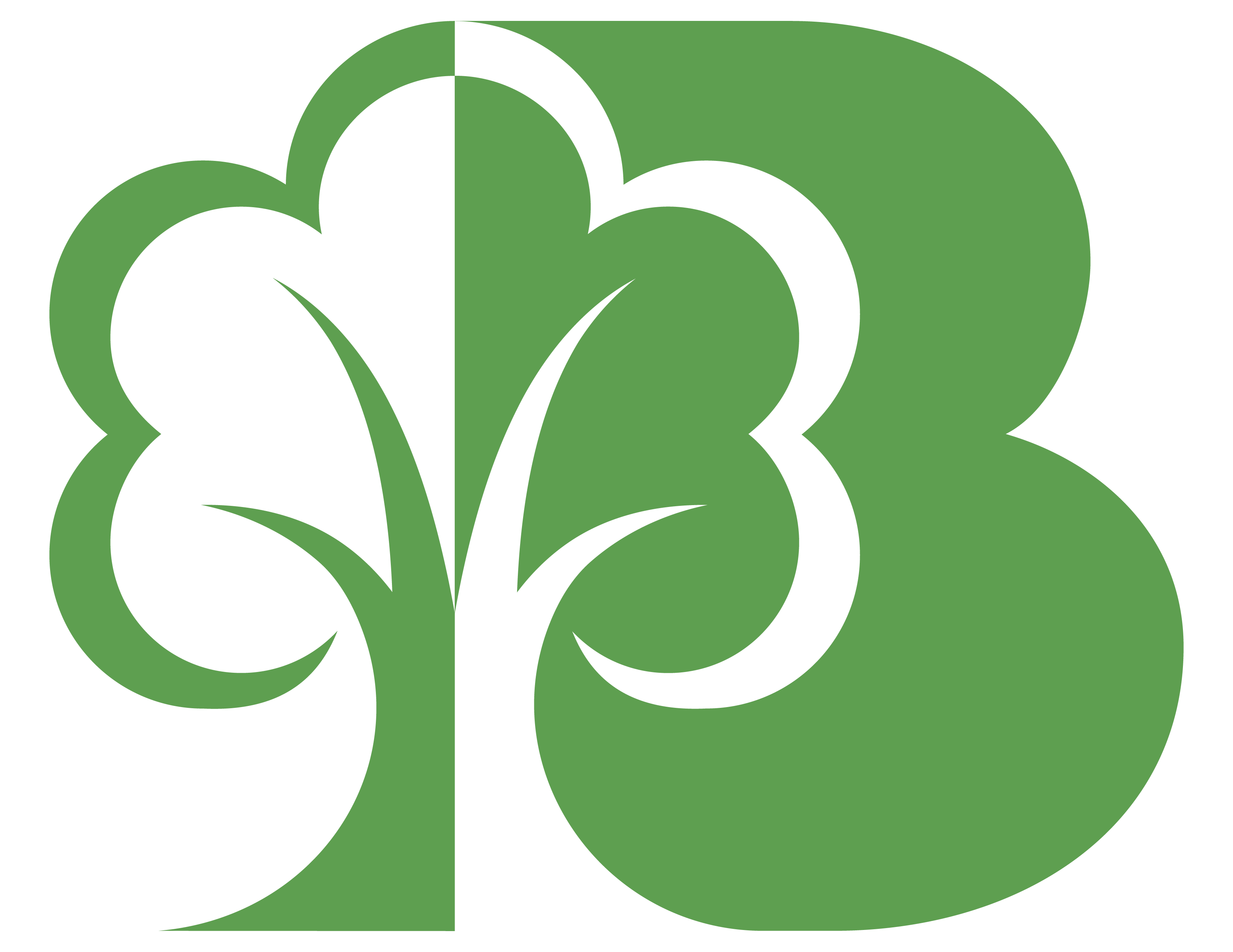 Tree Boston Logo