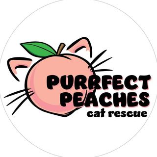 Purrfect Peaches Cat Rescue Inc. Logo