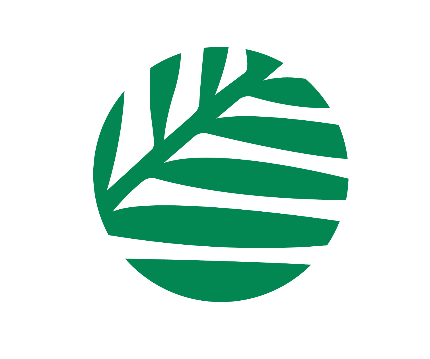 Oasis International Ltd Nfp Logo