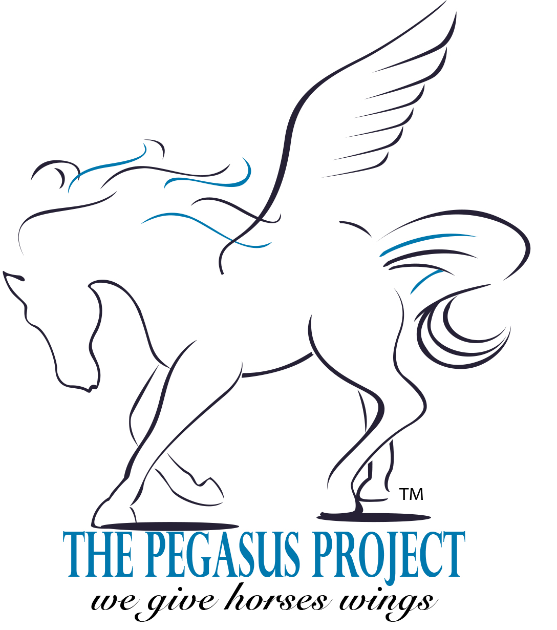 The Pegasus Project Inc Logo