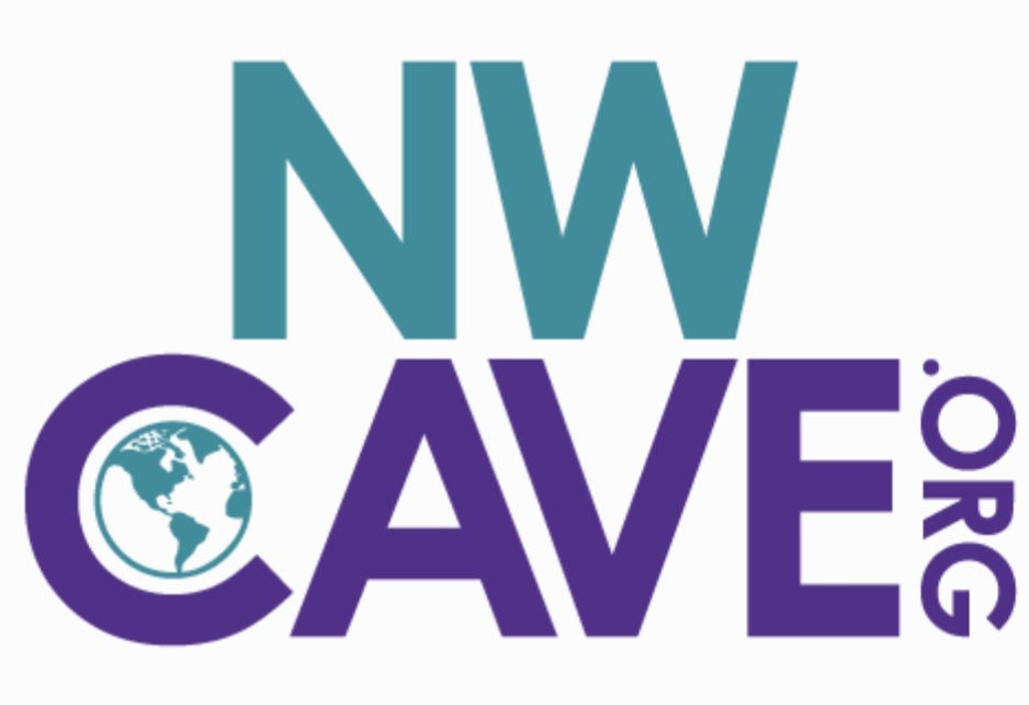 National Womens Coalition Against Violence & Exploitation Logo