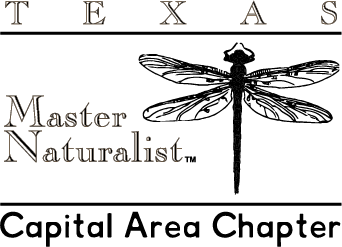 Texas Master Naturalists Capital Area Chapter Inc Logo