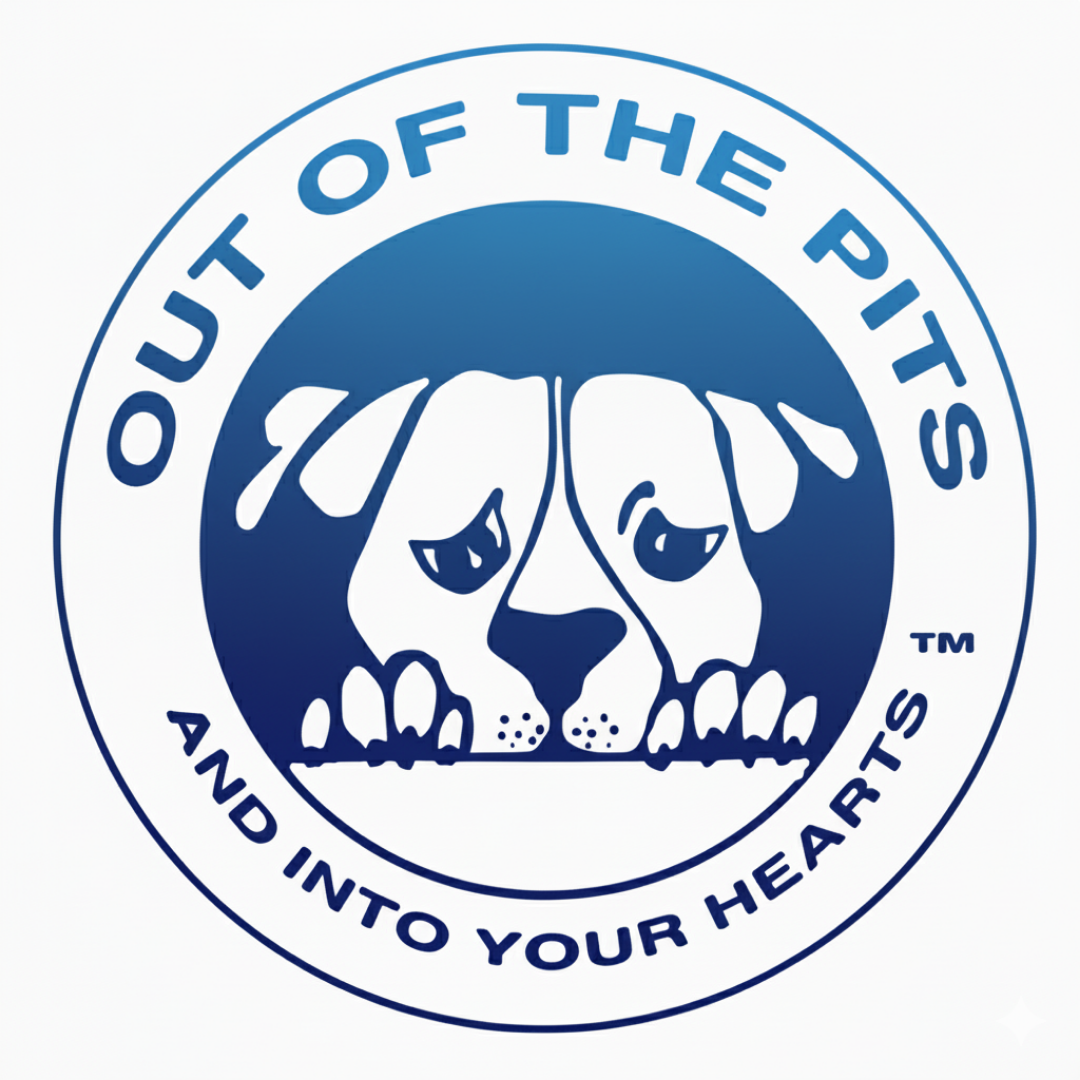 Out Of The Pits Inc Logo