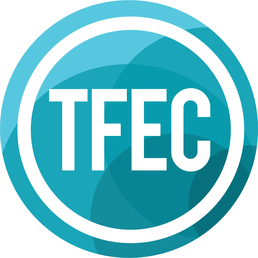 The Foundation for Enhancing Communities Logo