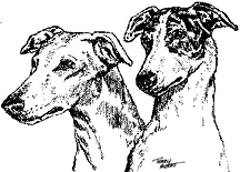 Greyhound Pets Inc Logo