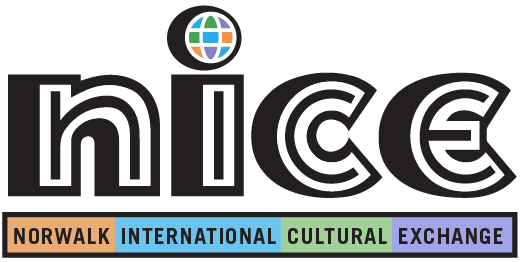 Nice Inc Logo