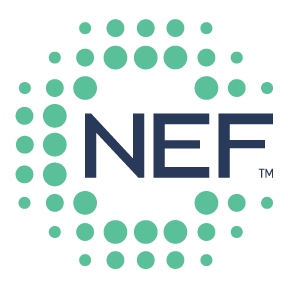 National Energy Foundation Inc Logo