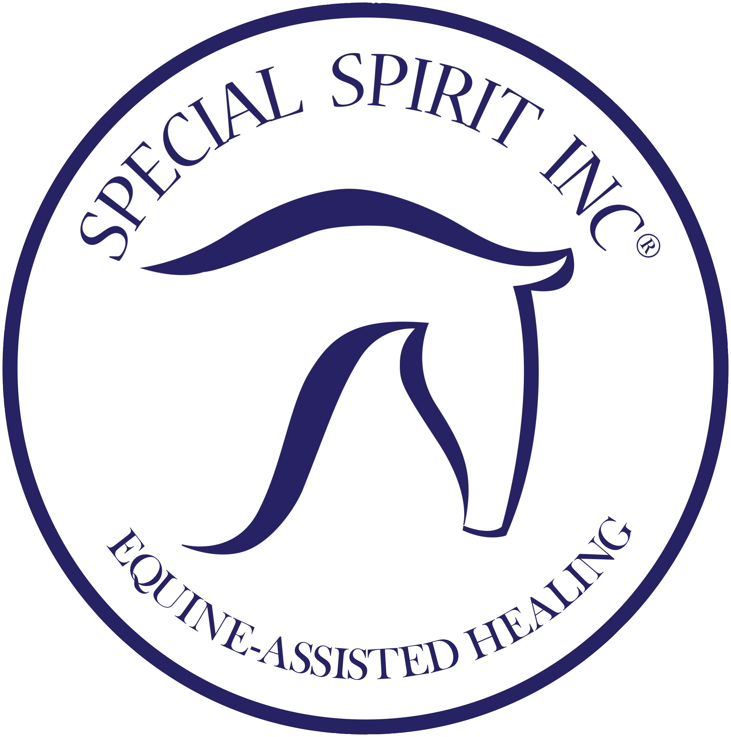 Special Spirit Inc Logo