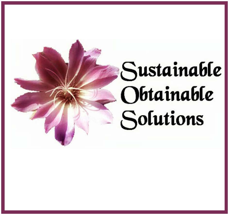 Sustainable Obtainable Solutions Logo