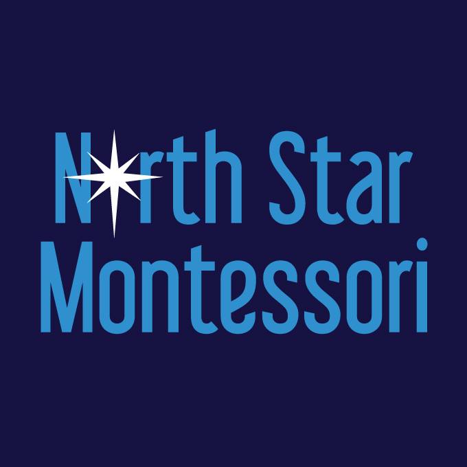 North Star Montessori School Inc Logo
