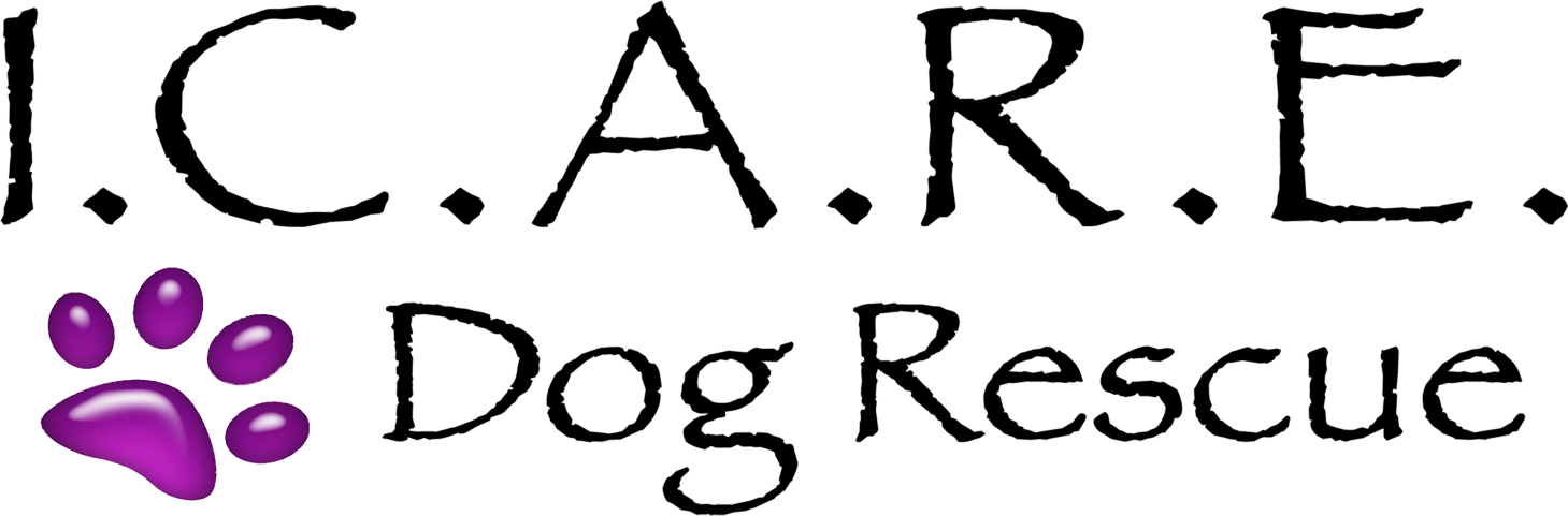 Icare Dog Rescue Logo
