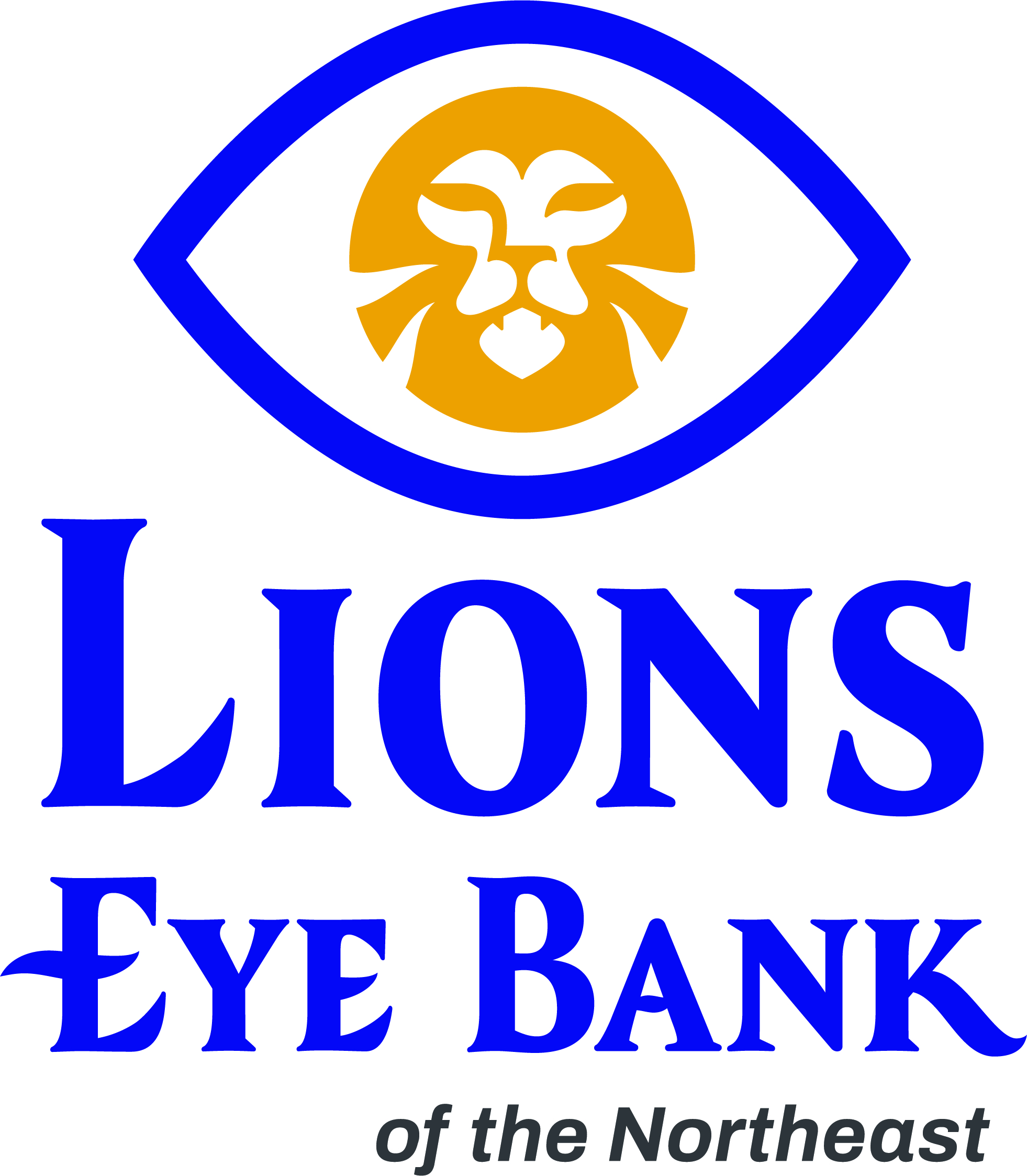 Sight Conservation Of N E N Y Inc Logo